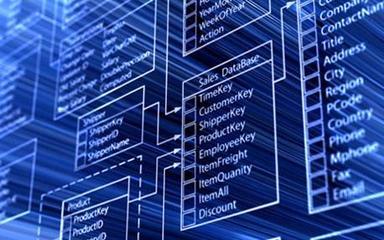企業(yè)軟件開發(fā)新模式 數(shù)據(jù)居于核心地位